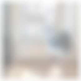 Foto #10 Appartement Prinsestraat Den Haag