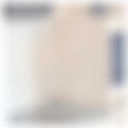 Foto #3 Appartement Jan in 't Veltstraat Den Helder