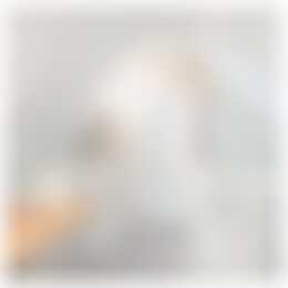 Foto #17 Appartement Westwagenstraat Gorinchem