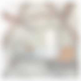 Foto #12 Appartement Westwagenstraat Gorinchem