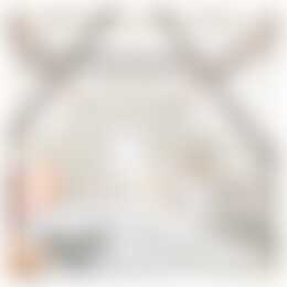 Foto #0 Appartement Westwagenstraat Gorinchem