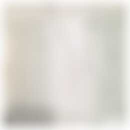 Foto #8 Appartement Westwagenstraat Gorinchem