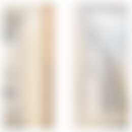 Foto #23 Appartement Westwagenstraat Gorinchem