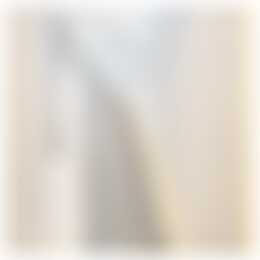 Foto #4 Appartement Westwagenstraat Gorinchem