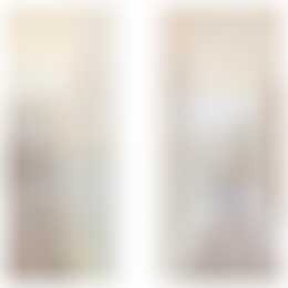 Foto #3 Appartement Westwagenstraat Gorinchem