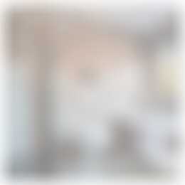 Foto #6 Huurwoning Tramstraat Schoonoord