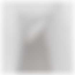 Foto #1 Appartement Asselijnstraat Utrecht