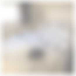 Foto #7 Huurwoning Korhoenlaan Harderwijk