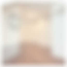 Foto #8 Appartement Sarphatistraat Amsterdam