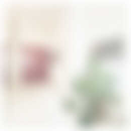 Foto #1 Appartement Sarphatistraat Amsterdam