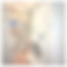 Foto #20 Appartement Sarphatistraat Amsterdam