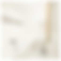 Foto #14 Appartement Sarphatistraat Amsterdam