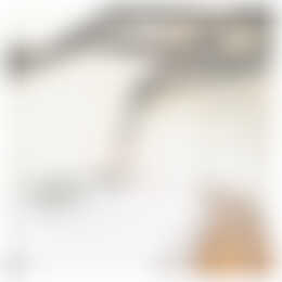 Foto #10 Appartement Sarphatistraat Amsterdam