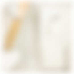 Foto #15 Appartement Sarphatistraat Amsterdam