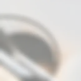 Foto #23 Huurwoning Sinjeur Semeynsstraat Amstelveen