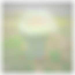 Foto #9 Appartement Irenelaan Haren (GR)