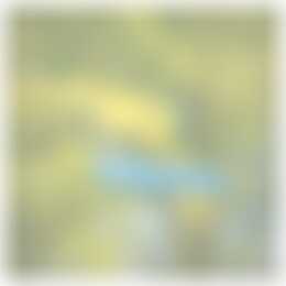 Foto #8 Appartement Irenelaan Haren (GR)