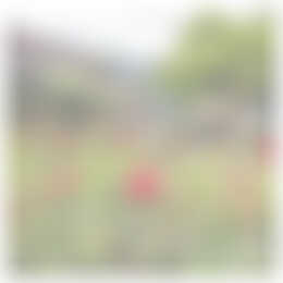 Foto #3 Appartement Irenelaan Haren (GR)