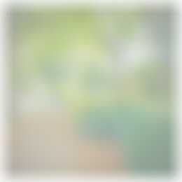 Foto #7 Appartement Irenelaan Haren (GR)