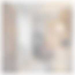 Foto #18 Huurwoning Grondhuttenweg Bentelo