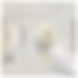 Foto #11 Huurwoning Grondhuttenweg Bentelo