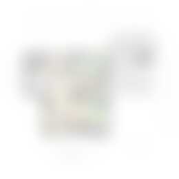 Foto #27 Huurwoning Grondhuttenweg Bentelo