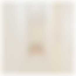 Foto #27 Appartement Singel Amsterdam