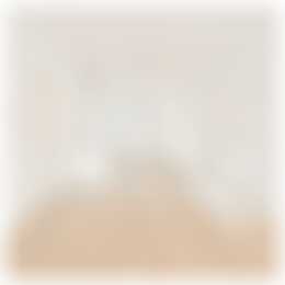 Foto #8 Appartement Singel Amsterdam