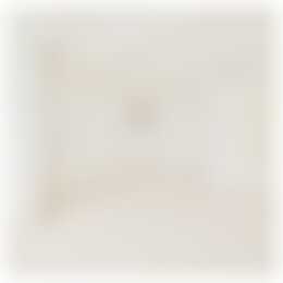 Foto #21 Appartement Singel Amsterdam