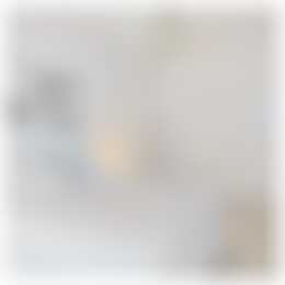 Foto #21 Appartement Willem de Zwijgerstraat Rotterdam