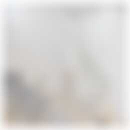 Foto #10 Appartement Willem de Zwijgerstraat Rotterdam