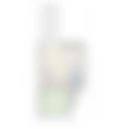 Foto #35 Appartement Willem de Zwijgerstraat Rotterdam