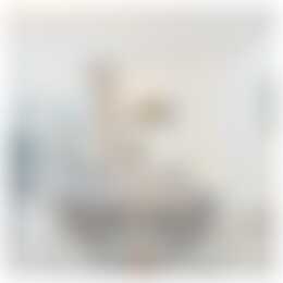 Foto #9 Appartement Willem de Zwijgerstraat Rotterdam