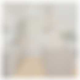 Foto #6 Appartement Willem de Zwijgerstraat Rotterdam