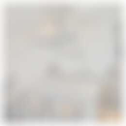 Foto #7 Appartement Willem de Zwijgerstraat Rotterdam