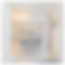 Foto #8 Appartement Willem de Zwijgerstraat Rotterdam