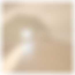 Foto #11 Huurwoning Deventerweg Oene