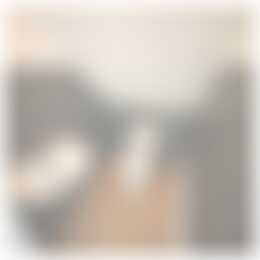 Foto #14 Huurwoning Deventerweg Oene