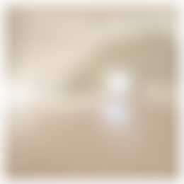 Foto #10 Huurwoning Deventerweg Oene