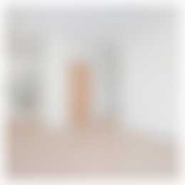 Foto #19 Appartement Badhuisweg Den Haag