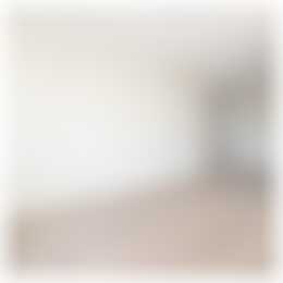 Foto #15 Appartement Badhuisweg Den Haag