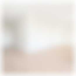 Foto #16 Appartement Badhuisweg Den Haag