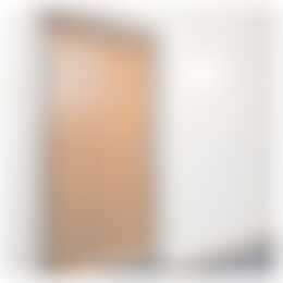 Foto #3 Appartement Badhuisweg Den Haag