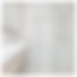 Foto #35 Appartement Badhuisweg Den Haag