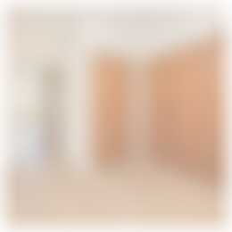 Foto #4 Appartement Badhuisweg Den Haag