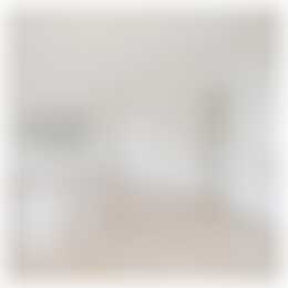 Foto #1 Appartement Adriaen van Ostadelaan Utrecht