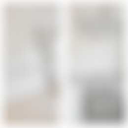 Foto #4 Appartement Adriaen van Ostadelaan Utrecht