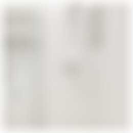 Foto #13 Appartement Adriaen van Ostadelaan Utrecht