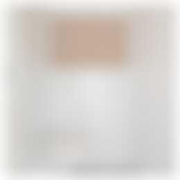 Foto #11 Appartement Adriaen van Ostadelaan Utrecht