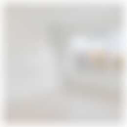 Foto #3 Appartement Adriaen van Ostadelaan Utrecht